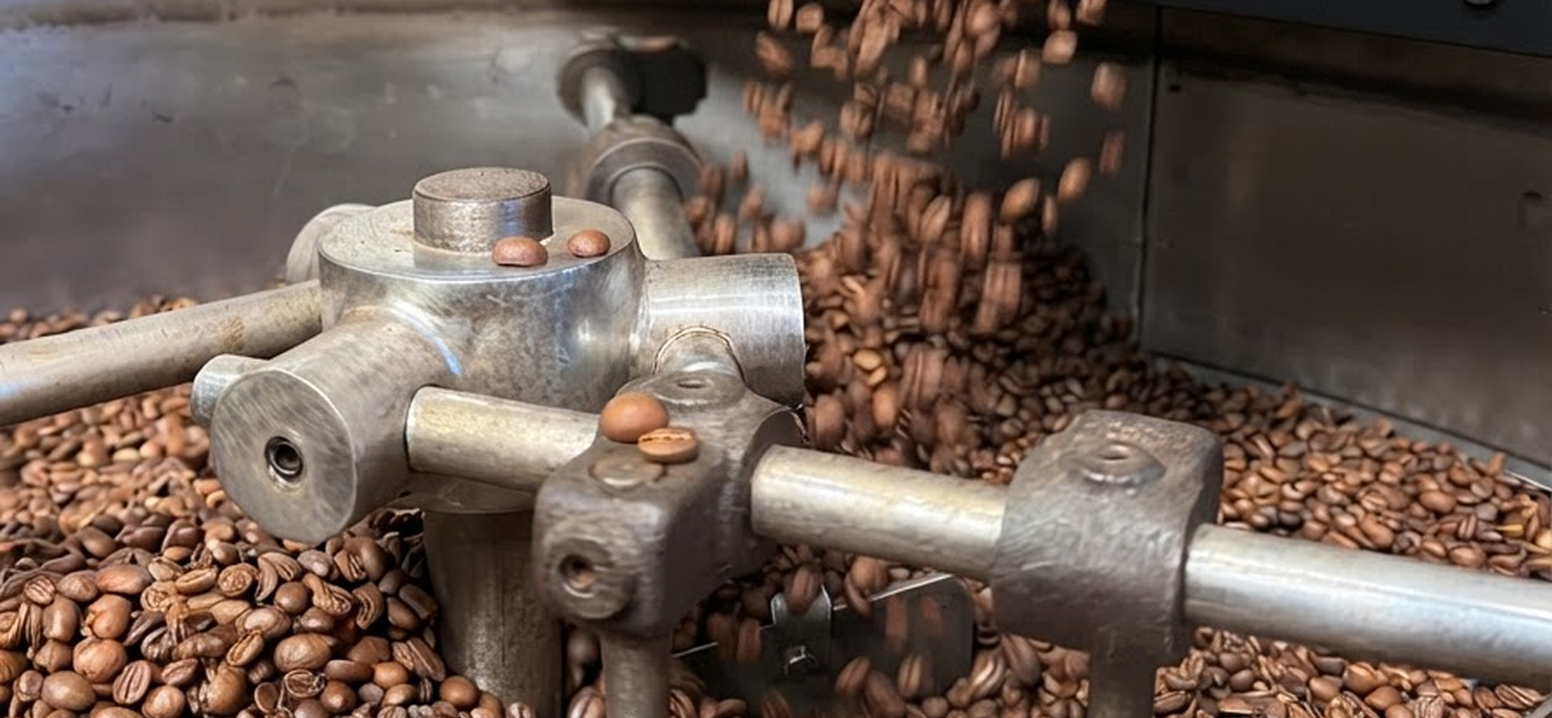 Grains de café fraîchement torréfiés dans le refroidisseur de la torréfacteuse